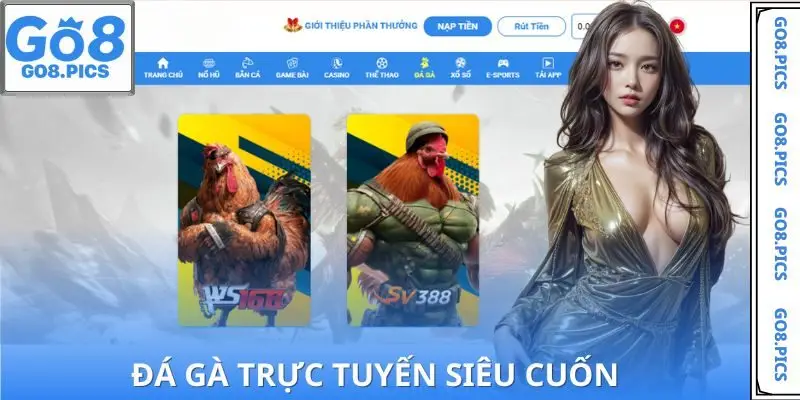 Trải nghiệm đá gà trực tuyến GO8 với hình ảnh chân thực