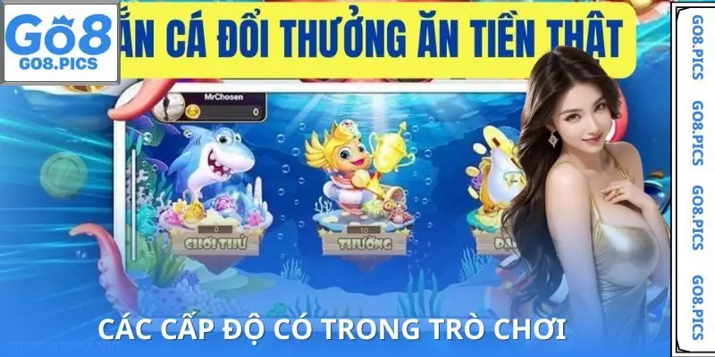 Các cấp độ có trong bắn cá rùa xanh
