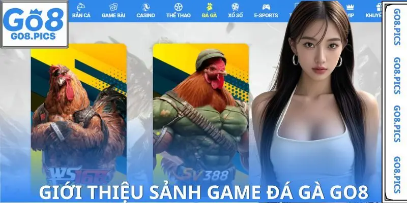 Tổng quan danh mục chơi game Đá Gà GO8