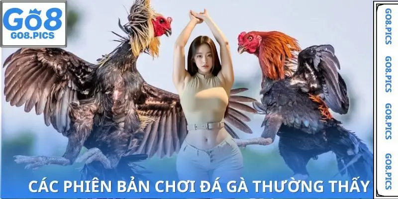 Phiên bản đá gà ảo hoặc trực tiếp đều được phát sóng mỗi ngày