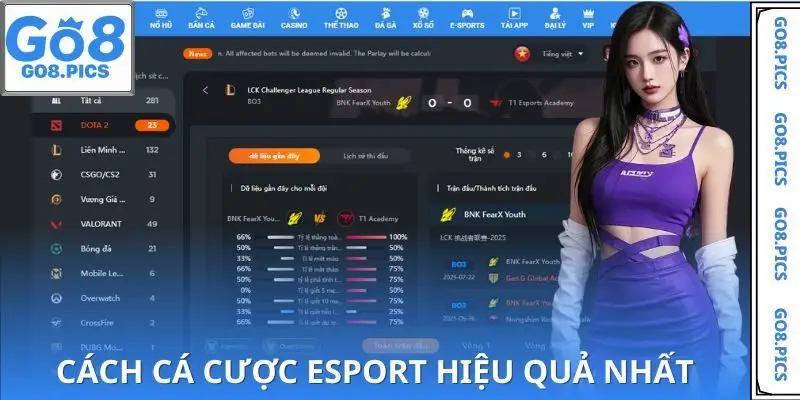 Mẹo đặt cược Esport GO8 hiệu quả và giảm thiểu rủi ro